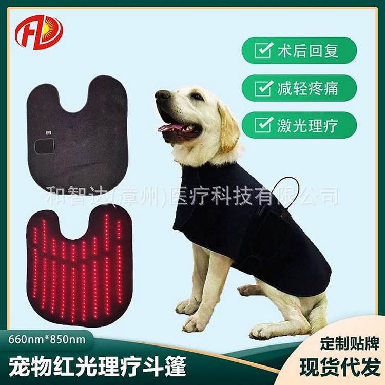 11.和智達醫療科技公司