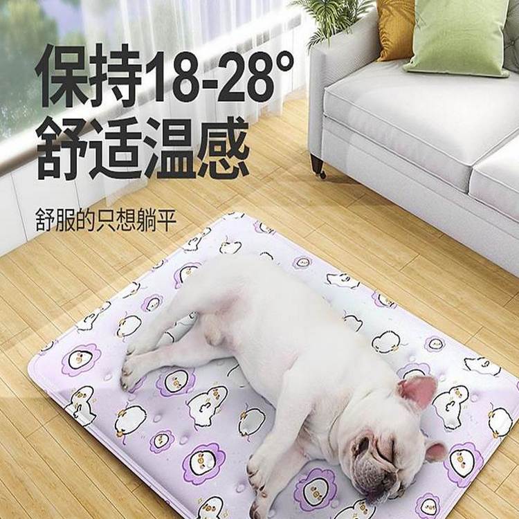 12.柒哦寵物用品公司