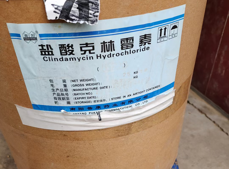 回收克林霉素