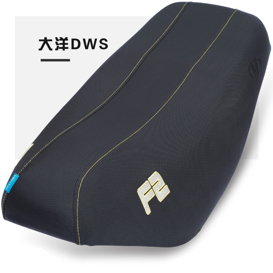 大洋DWS