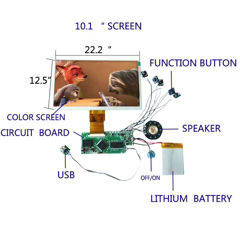 LCD Video Screen