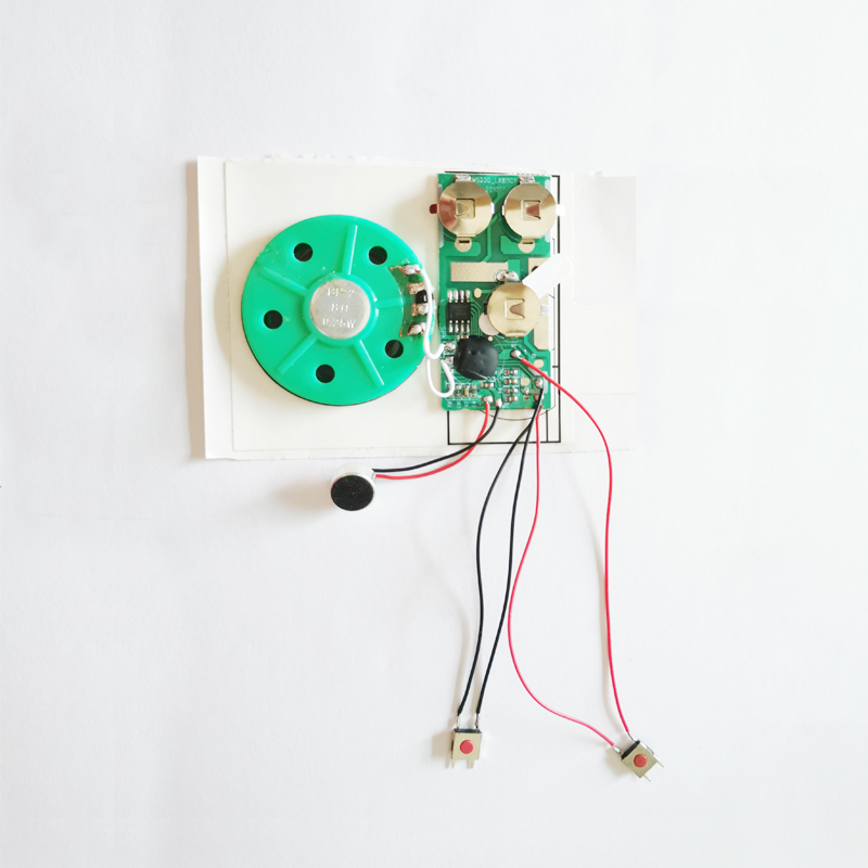 Button Control Recording Chip
