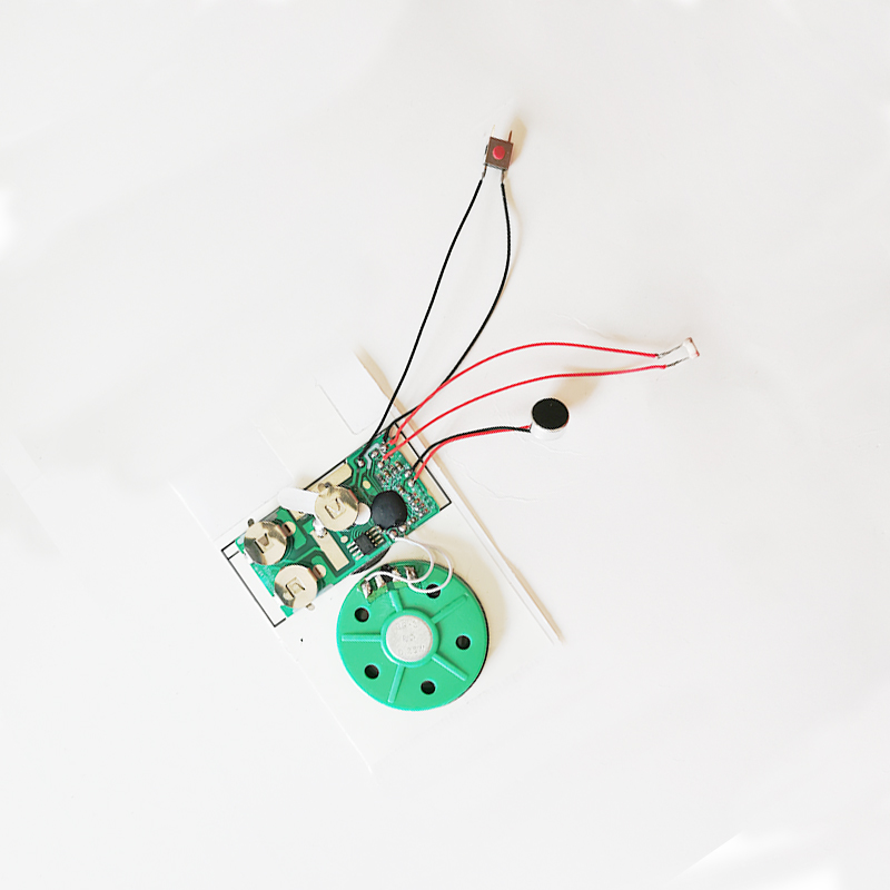 Light Control Recording Chip