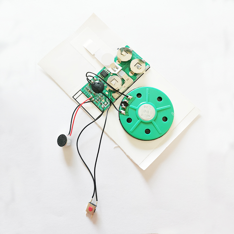 Sheet Pulling Control Recording Chip