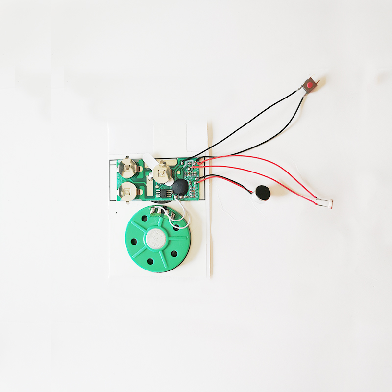 Light Control Recording Chip