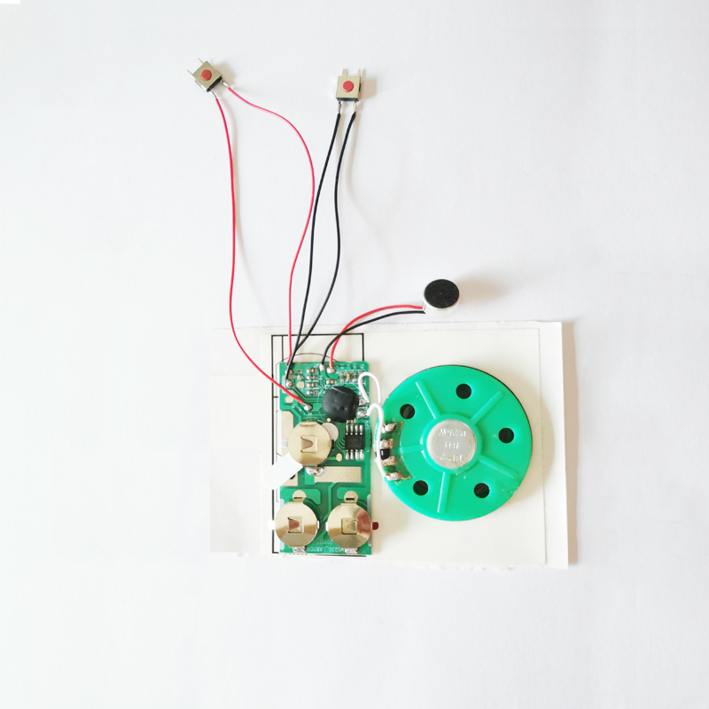 Button Control Recording Chip