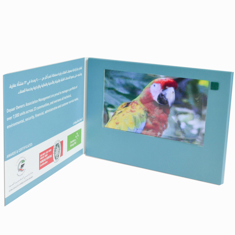 7'' Video Brochure