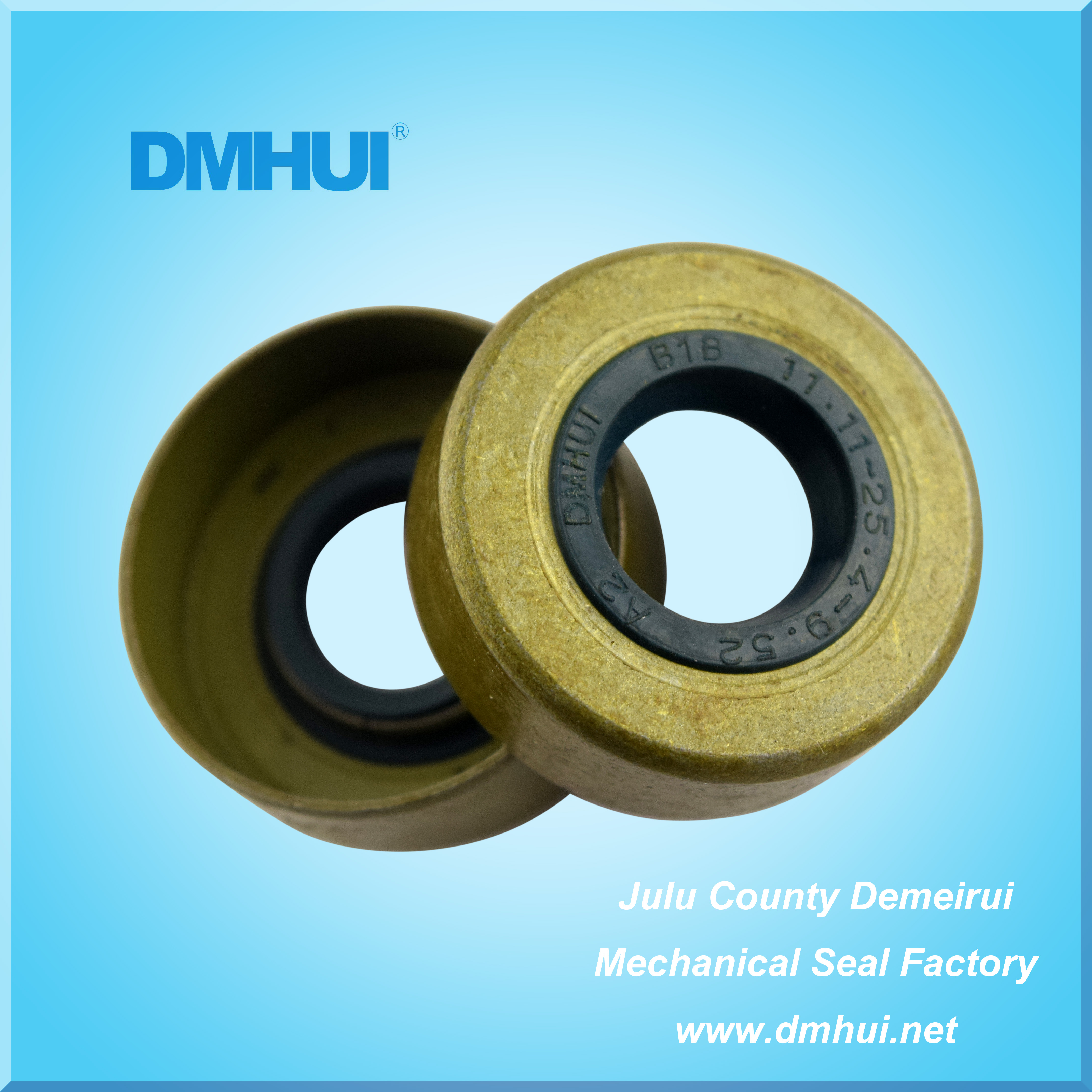 Top-Grade Oil Seal for Gear Motors