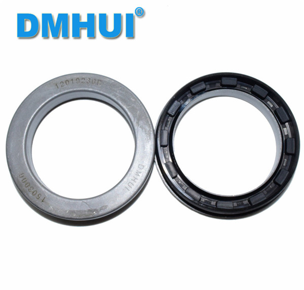 Wheel Hub Cassette Oil Seal - Durable Multi-Lip Seal for Harvester & Tractor