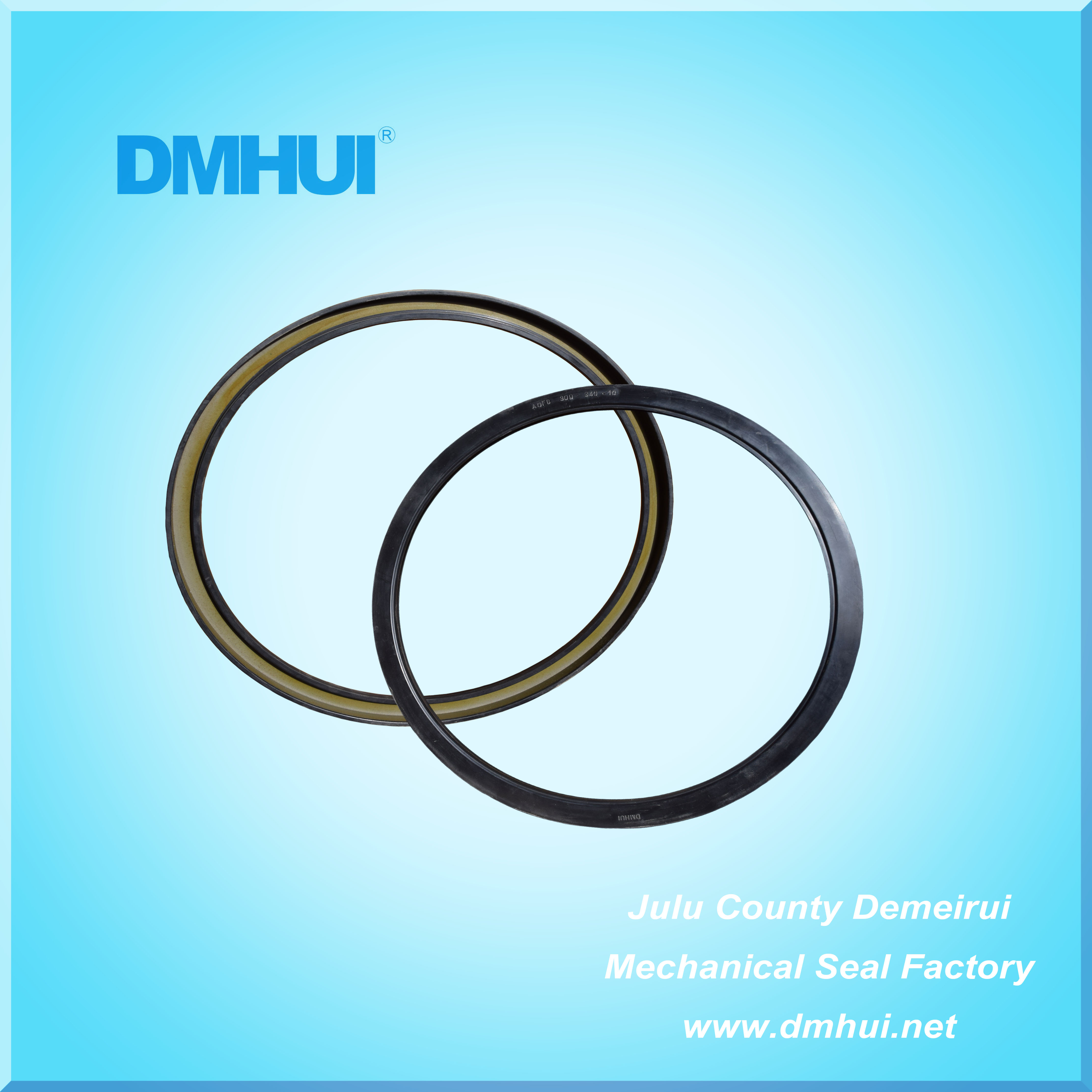 Hydraulic Pump Seal for CB400-320SAO NOO Motor