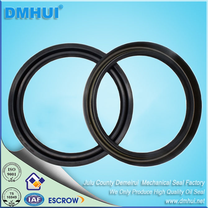 DC Structure Rotary Shaft Oil Seal 140x170x17mm for Construction Machinery