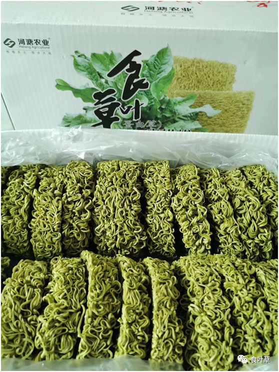 食叶草方便面