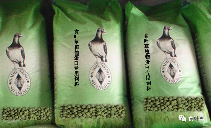 食叶草禽类饲料