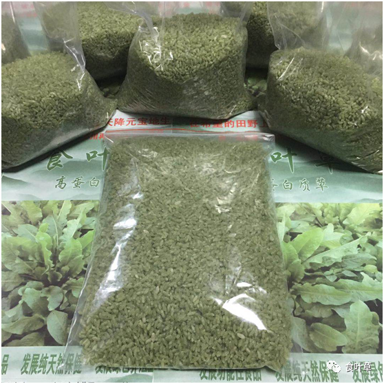 食叶草大米