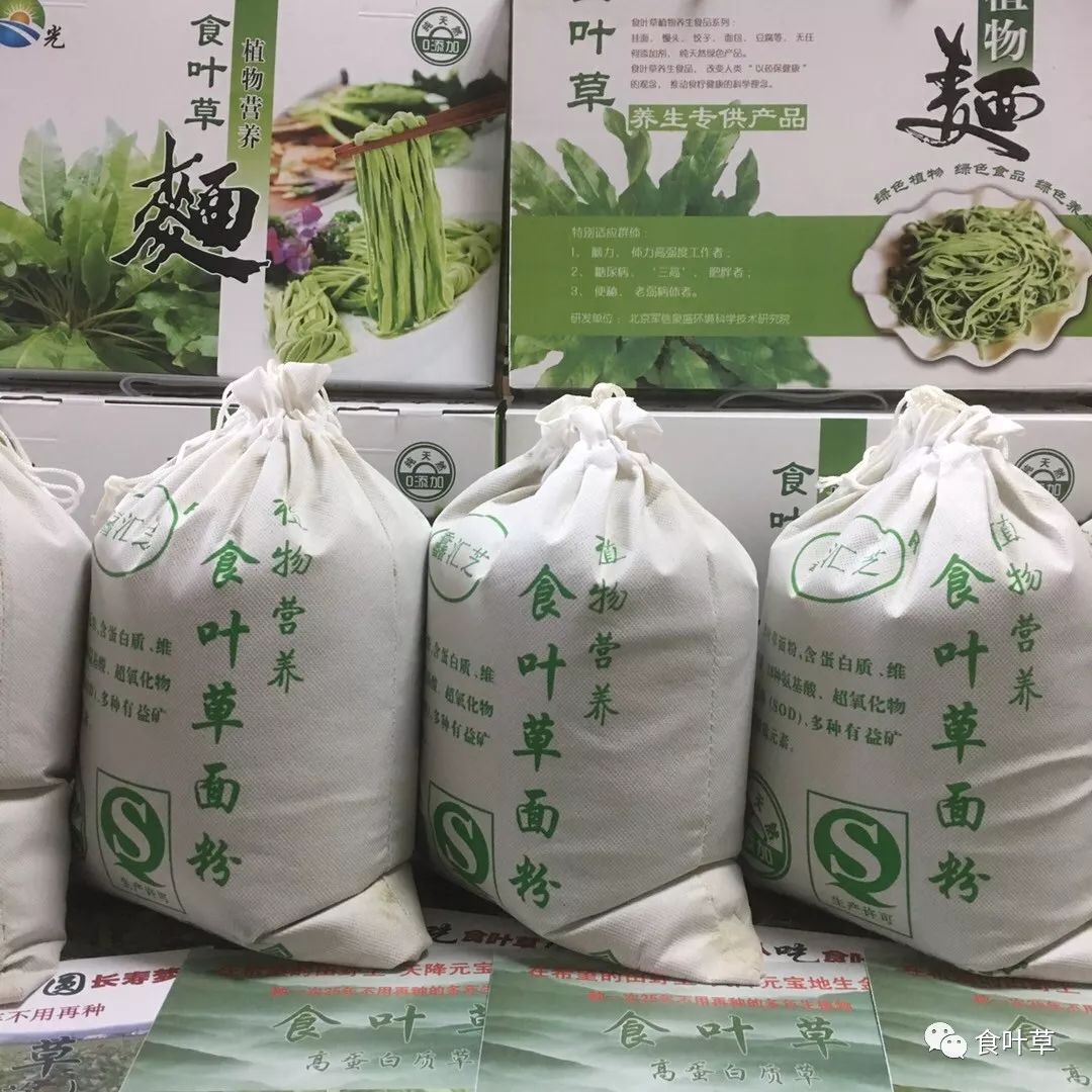 食叶草面粉