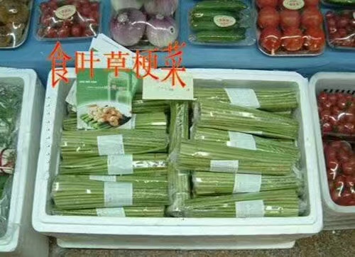 食叶草梗菜