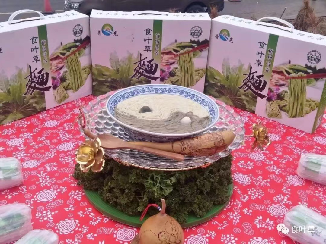 食叶草面条