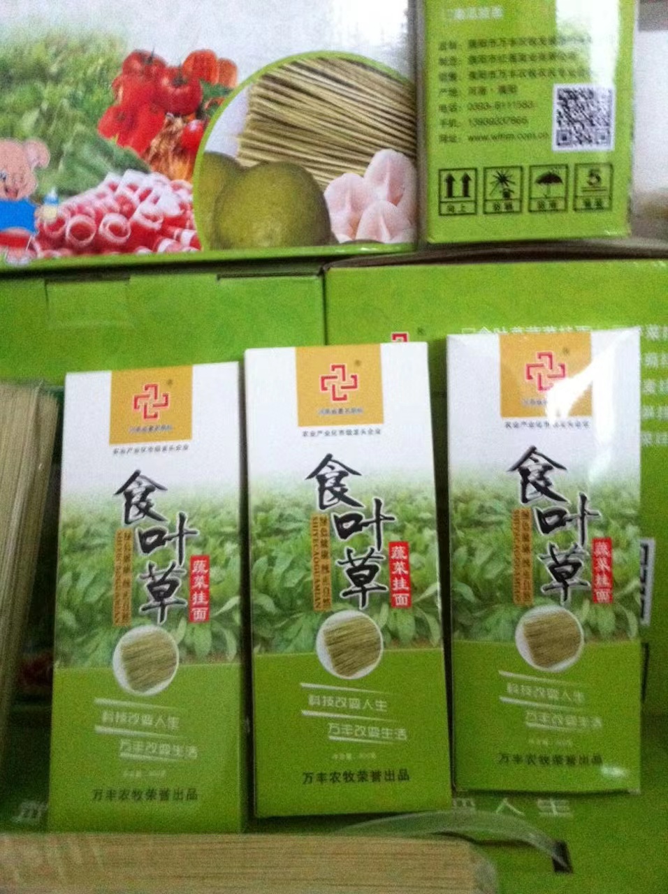 食叶草面条