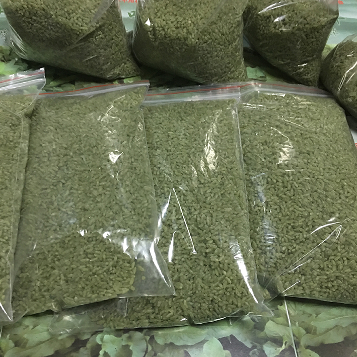 食叶草大米