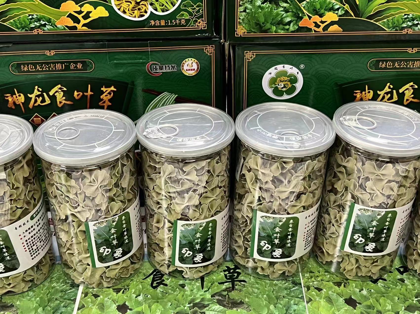 食叶草面条