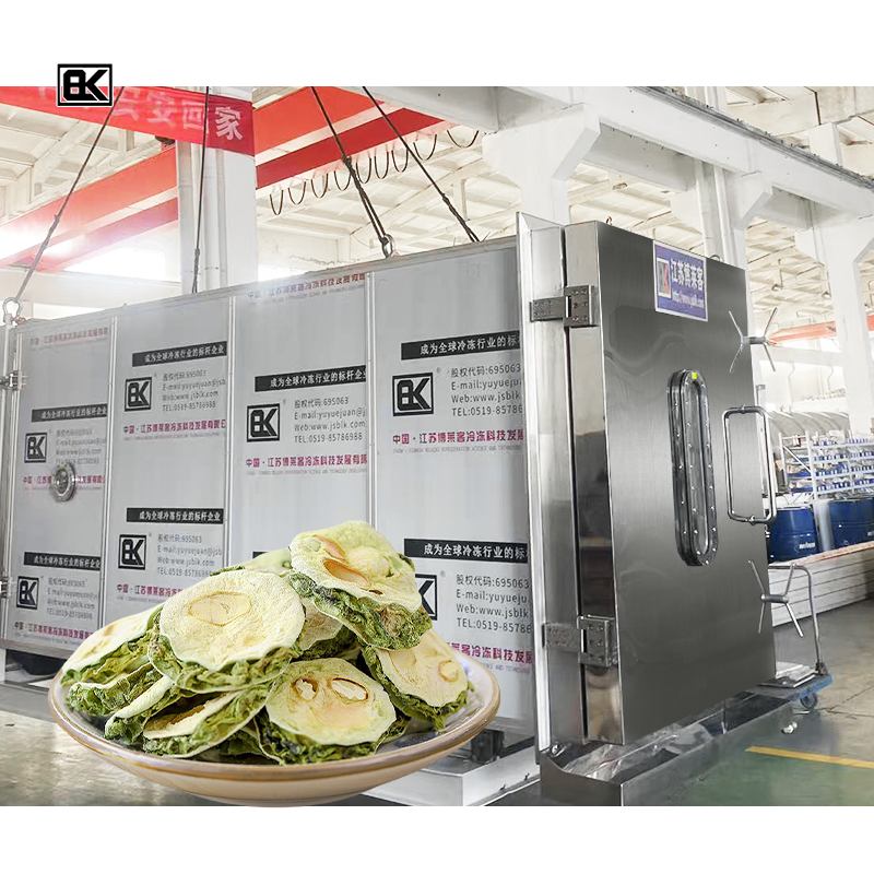 30m² Industrial Vacuum Freeze Dryer Machine for Vegetables Fruits Herbal Processing