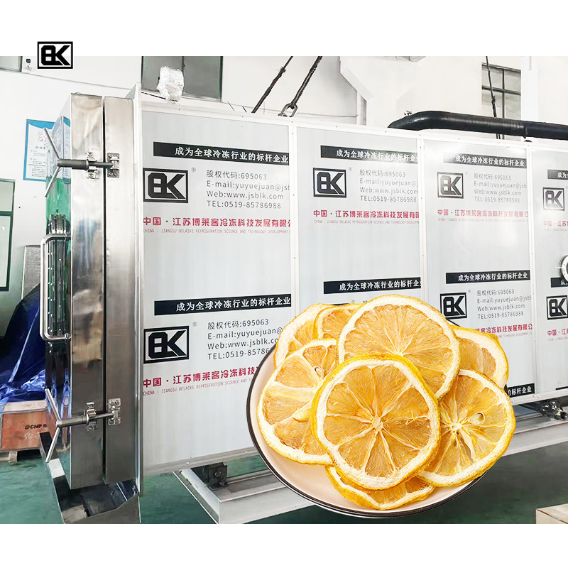 30m² Industrial Vacuum Freeze Dryer Machine for Vegetables Fruits Herbal Processing
