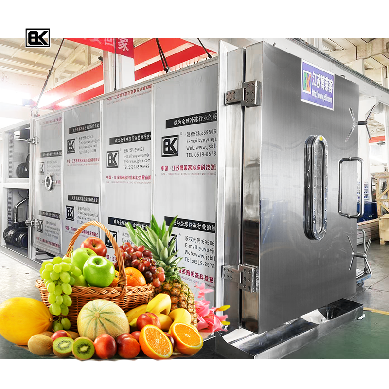 China Lyophilization Equipment Freeze Drying Lyophilizer Machine Industrial Fruit Food Vacuum Freeze Dryer