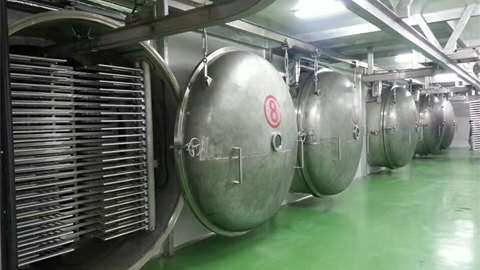 Fruit freeze drying project in USA