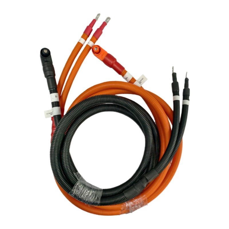 Custom Wiring Harness for Hydrogen Energy Vehicles, Connector Terminals, Hydrogen Fuel Cells, Power Batteries, Energy Storage Batteries