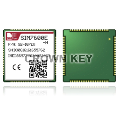 SIM module
