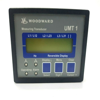 WOODWARD LQ25 Standard Valves