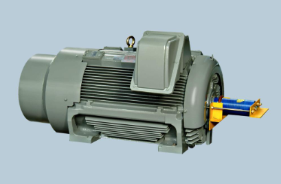 WESTINGHOUSE Three Phase Induction Motors