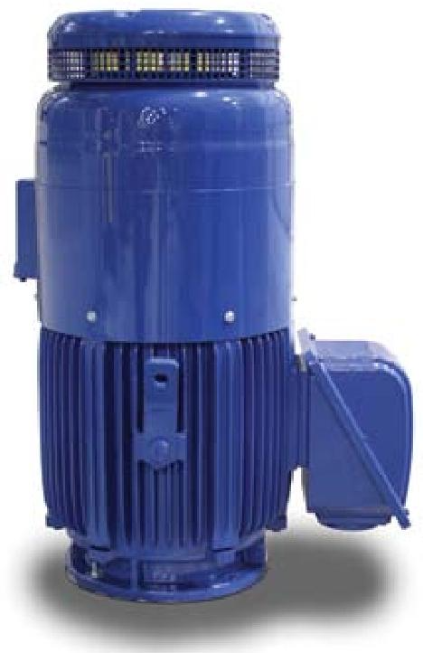 WESTINGHOUSE MAX-VH ™/ MAX-VHP ™ Series vertical hollow shaft induction motor