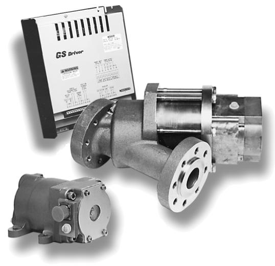 Woodward GS10 Gas Metering System