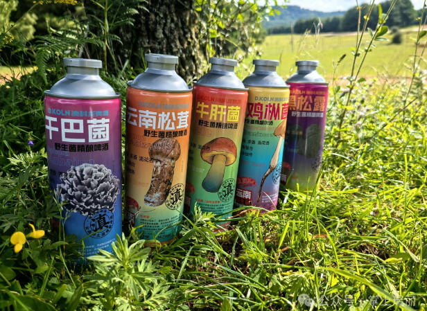 “云南味道”装进啤酒罐 德宏产野生菌精酿远销东南亚