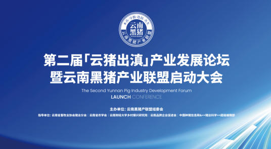 雲南黑豬產業聯盟正式啟動 聚力打造「雲豬出滇」新引擎