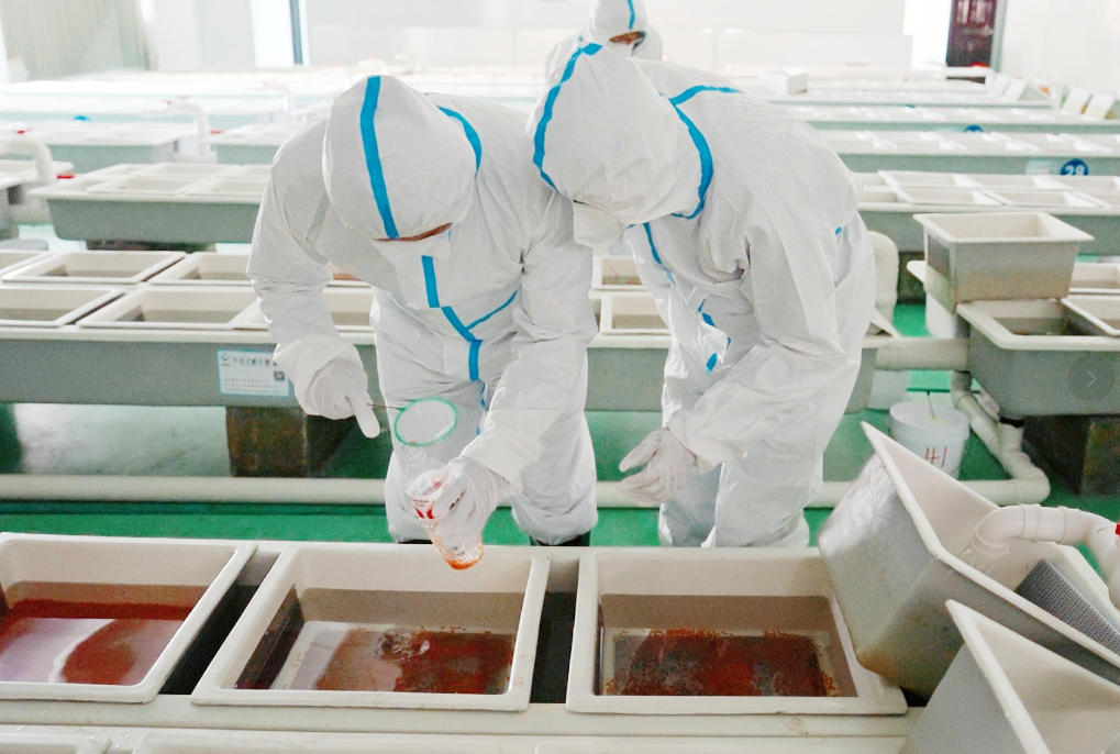 海关助力迪庆州首批进口虹鳟鱼卵顺利入境