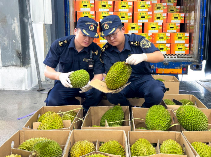 今年前2个月，天保口岸进口东盟水果1.4万吨，增长405.2%