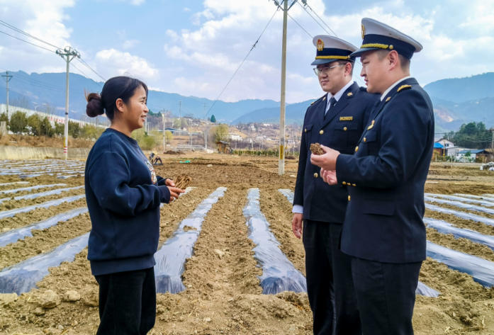雪域高原药香飘海外 香格里拉海关助力迪庆高原当归精油首次出口