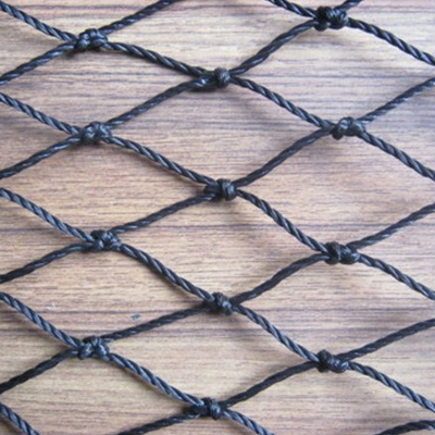 Transportation Net