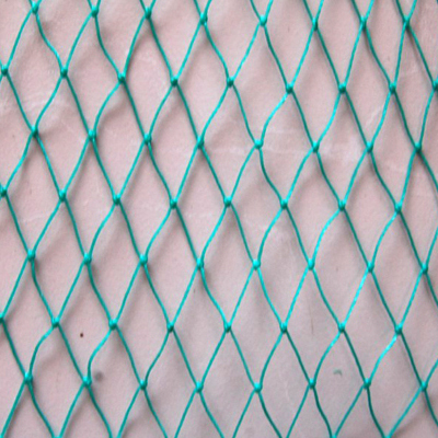 Fishing Net