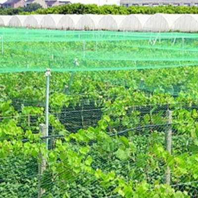 Anti-Bird Insect Net