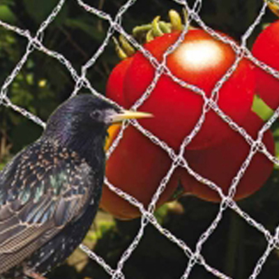 Anti-Bird Insect Net