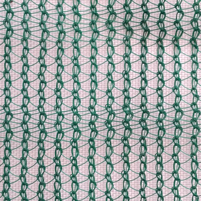 Olive Net