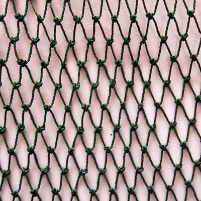 Fishing Net