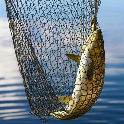 Fishing Net