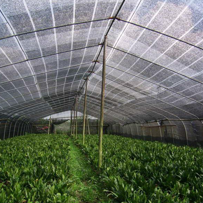 Sun Shade Net