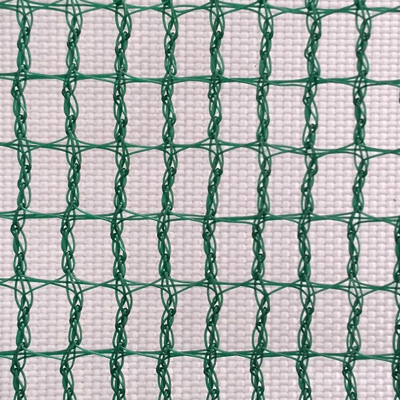 Olive Net