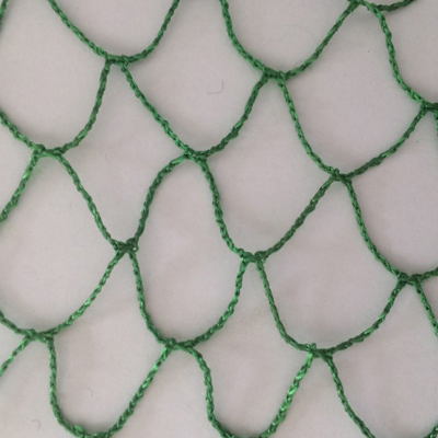Transportation Net