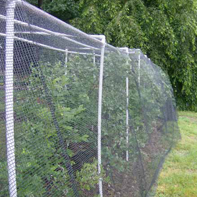 Anti-Bird Insect Net